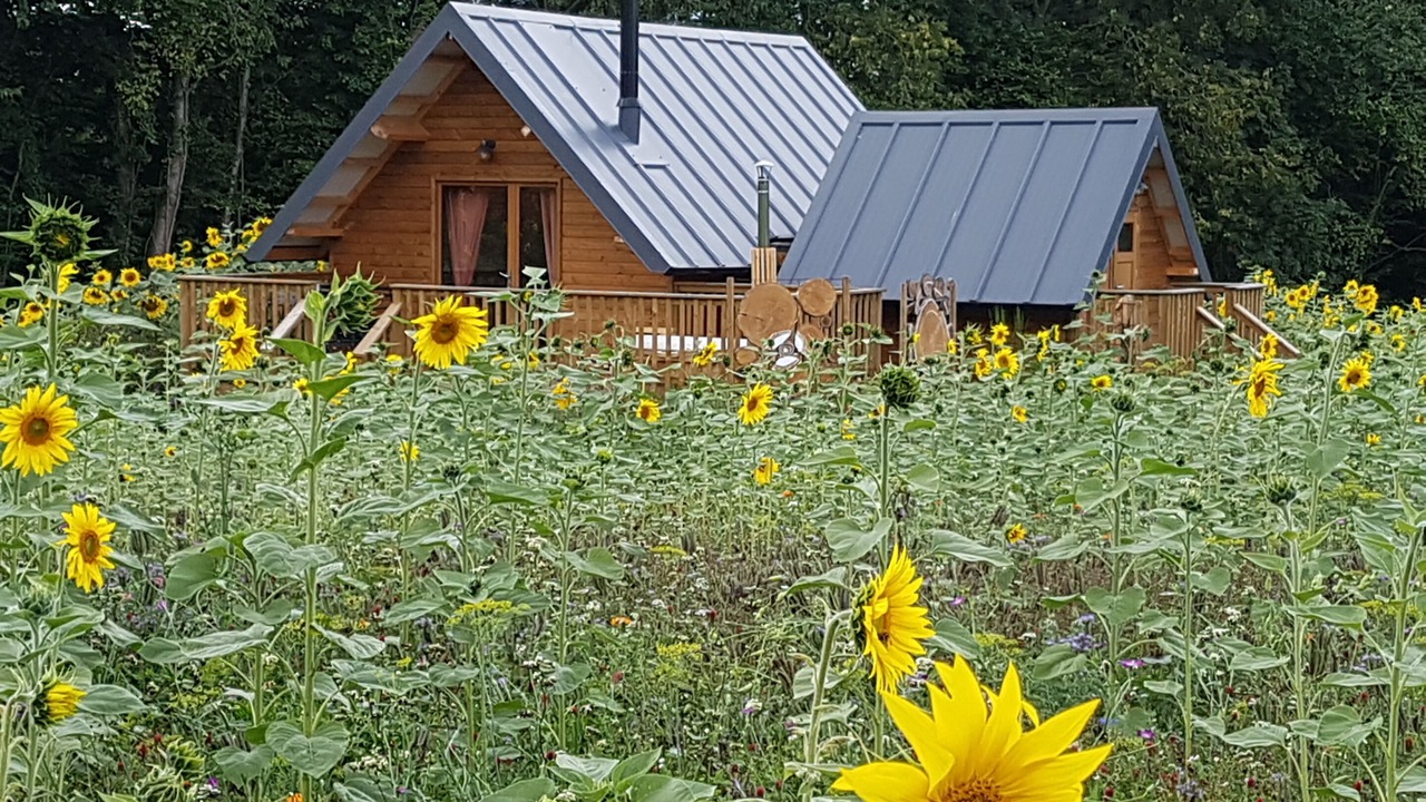 Photo of Outdoor in Sainte-Honorine-de-Ducy