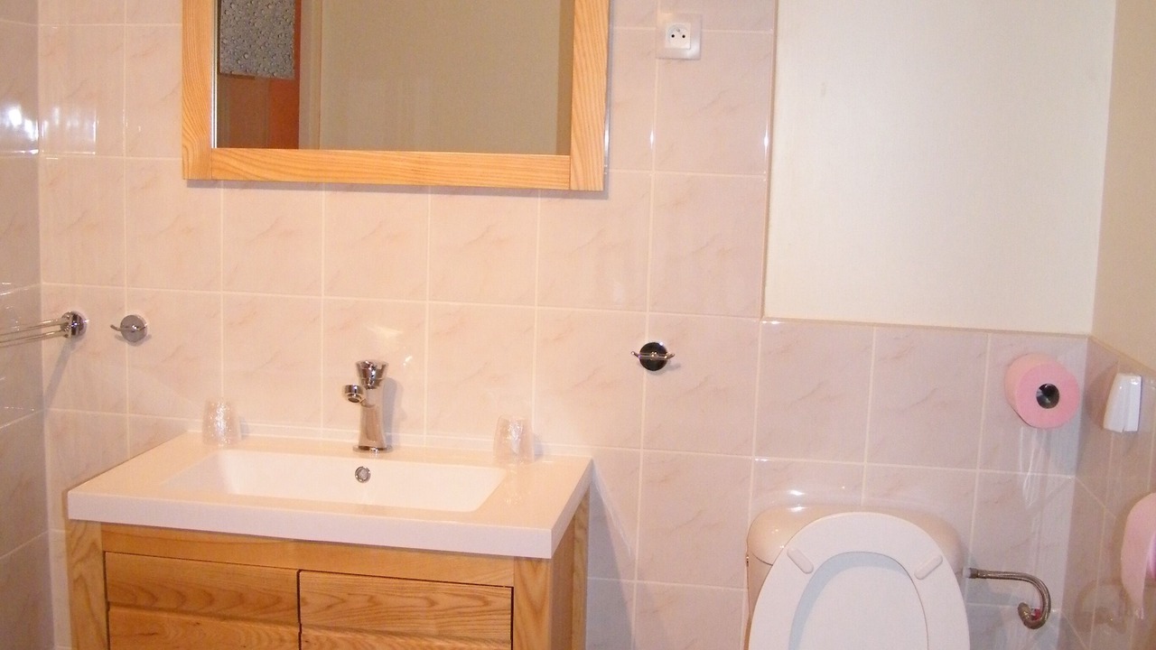 Photo of Bathroom in Grandval