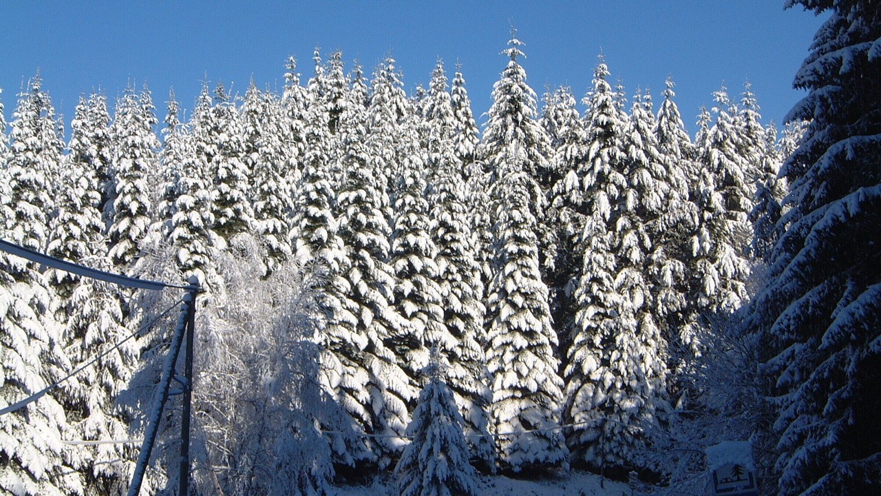 Photo of Others in Grandval