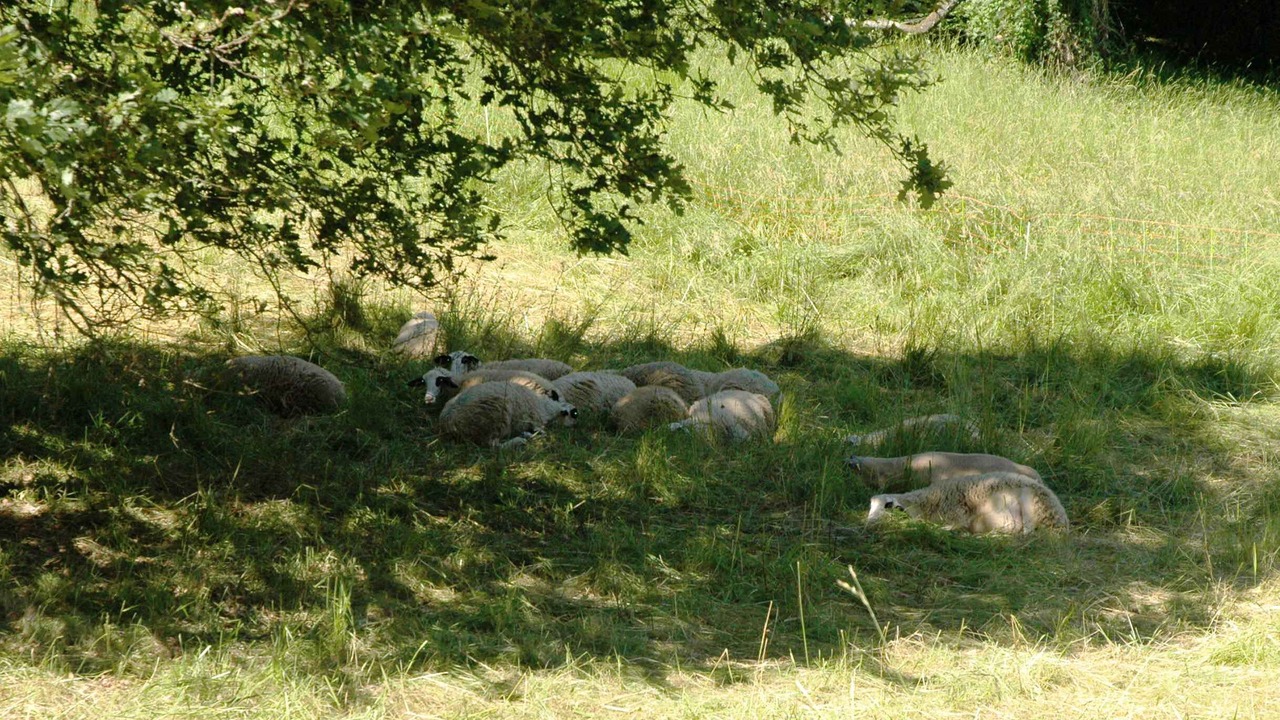 Photo of Outdoor in Berbiguieres