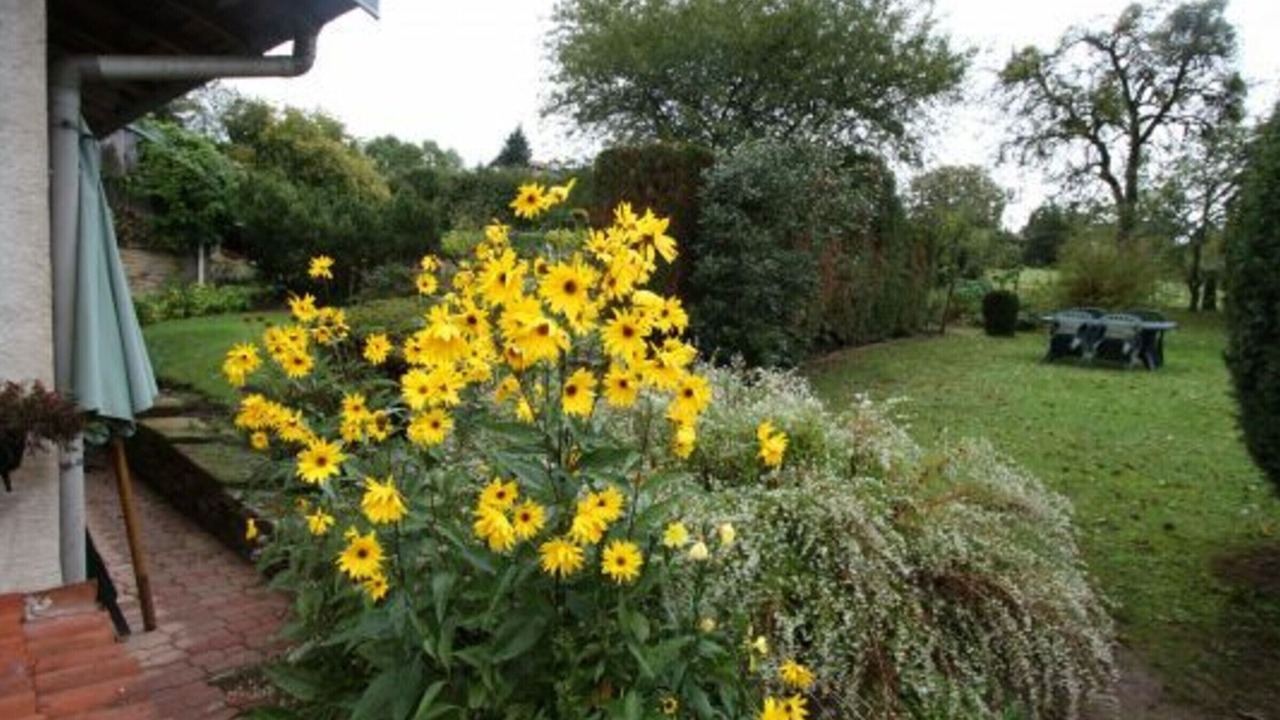 Photo of Outdoor in Bazien