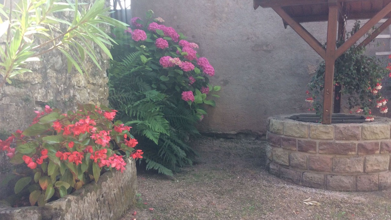 Photo of Outdoor in Bazien