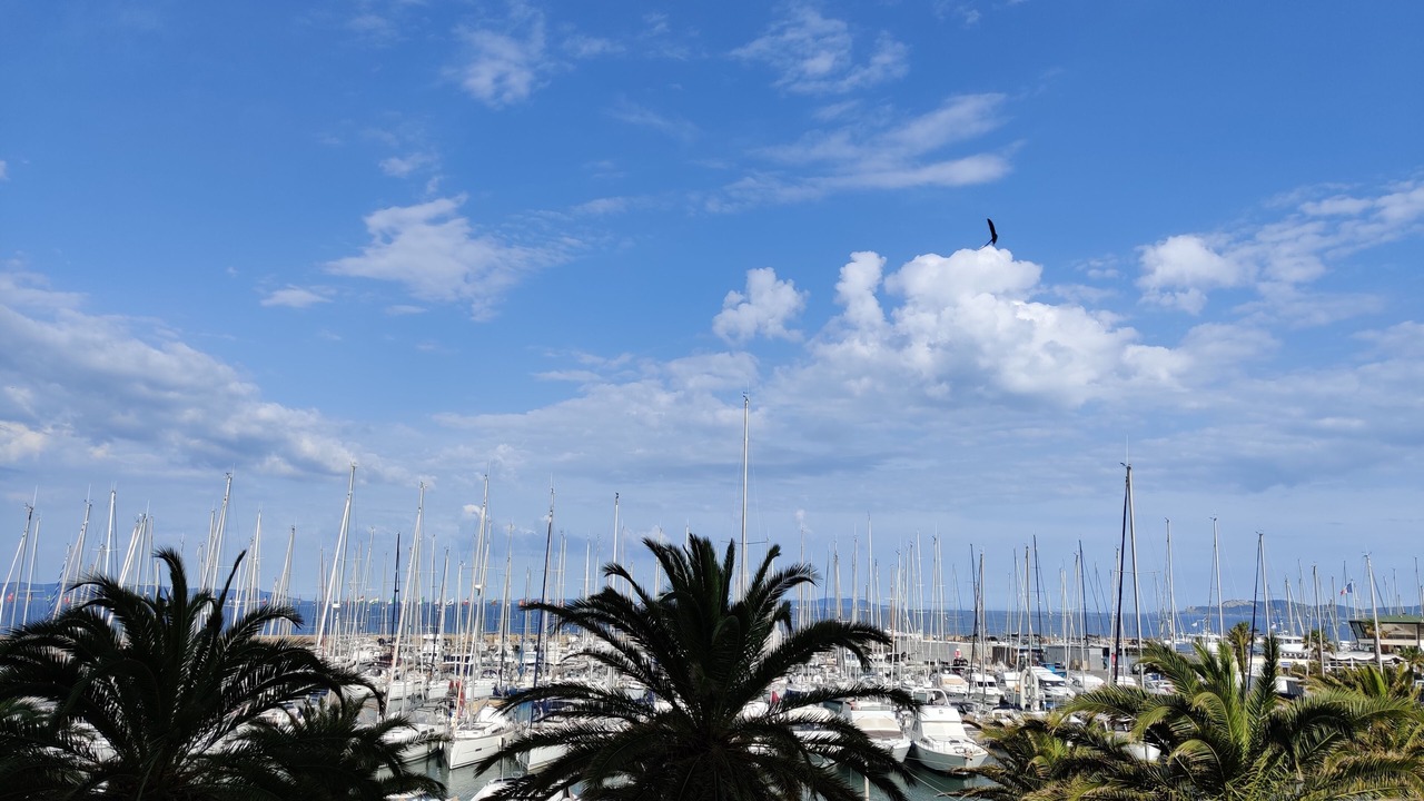 Photo of Others in Hyeres