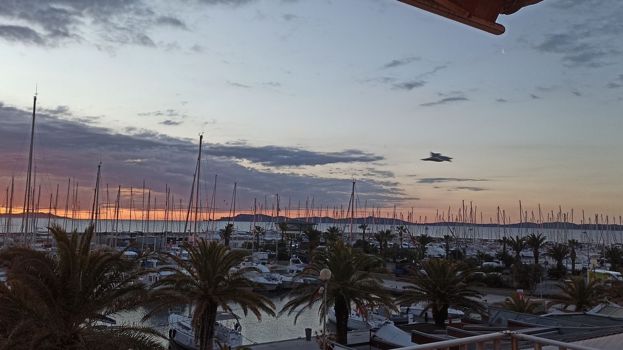 Photo of Others in Hyeres