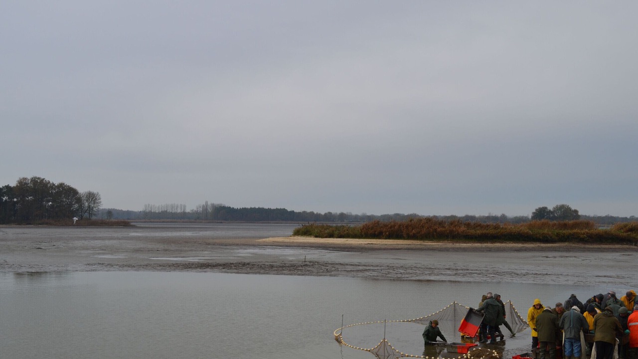 Photo of Others in Saint-Aigny