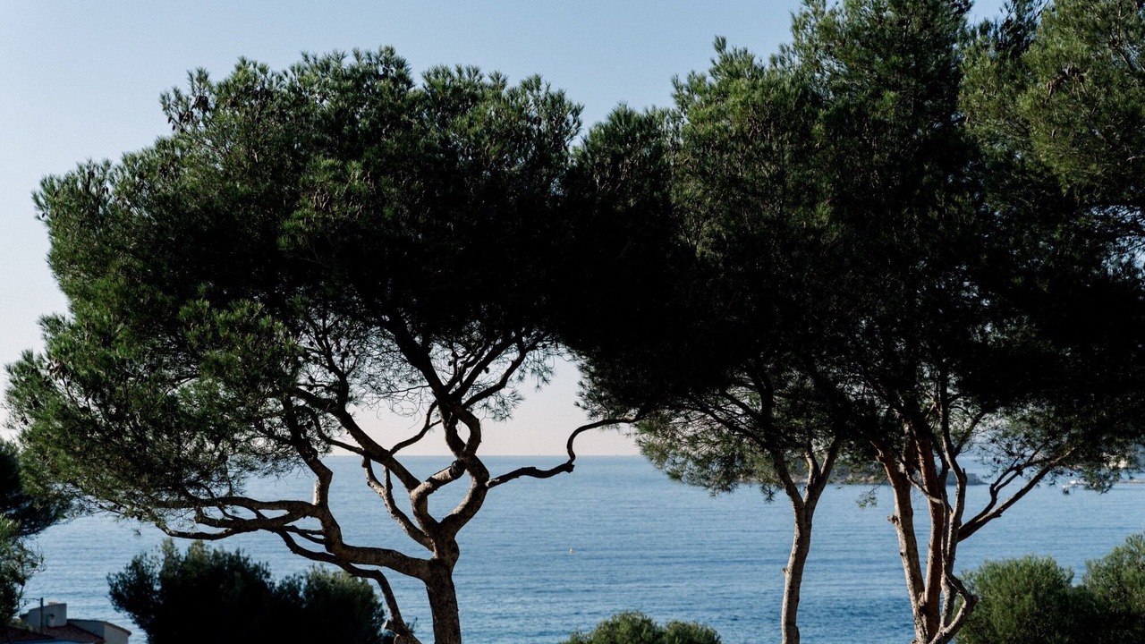 Photo of Bedroom in Sanary-sur-Mer