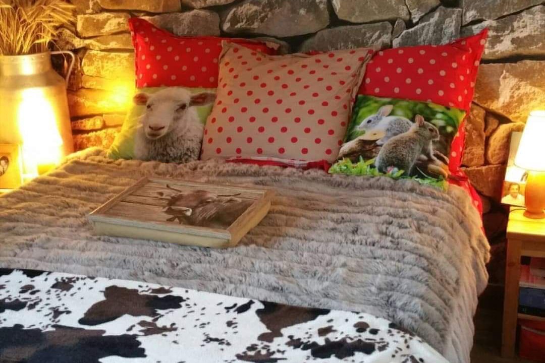 Photo of Bedroom in Ancelle