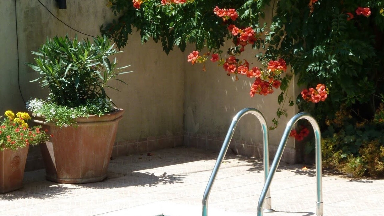 Photo of Outdoor in Castres