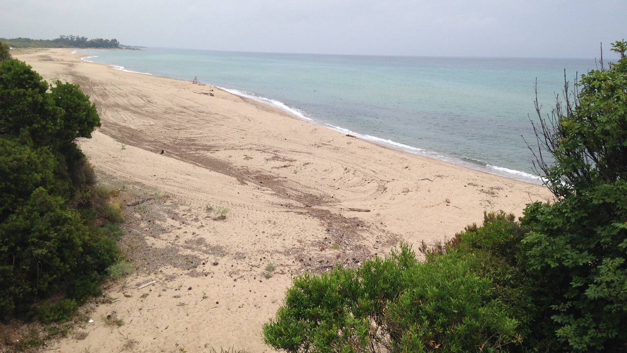 Photo of Others in Solaro