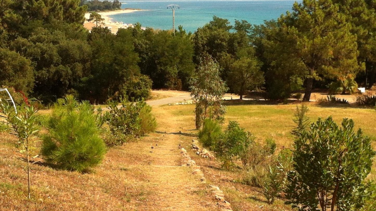 Photo of Outdoor in Solaro