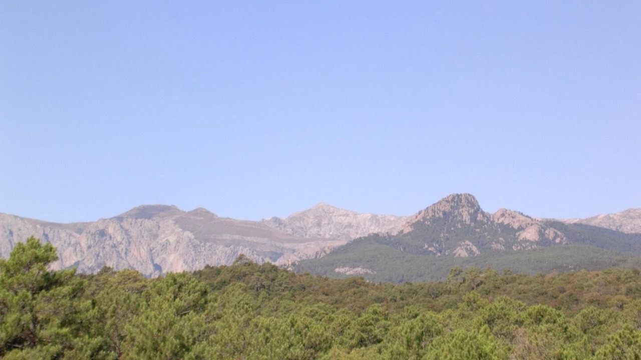 Photo of Others in Solaro