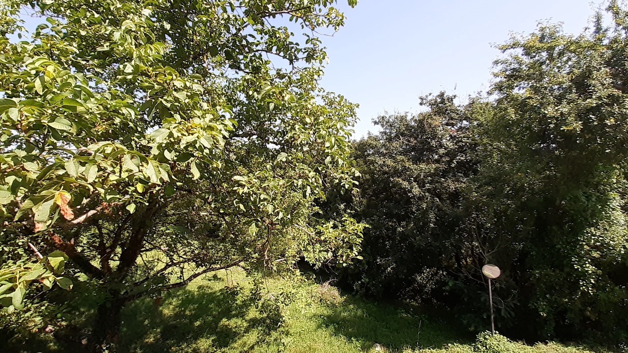 Photo of Outdoor in Daglan