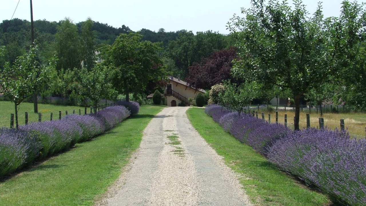 Photo of Outdoor in Le Bugue