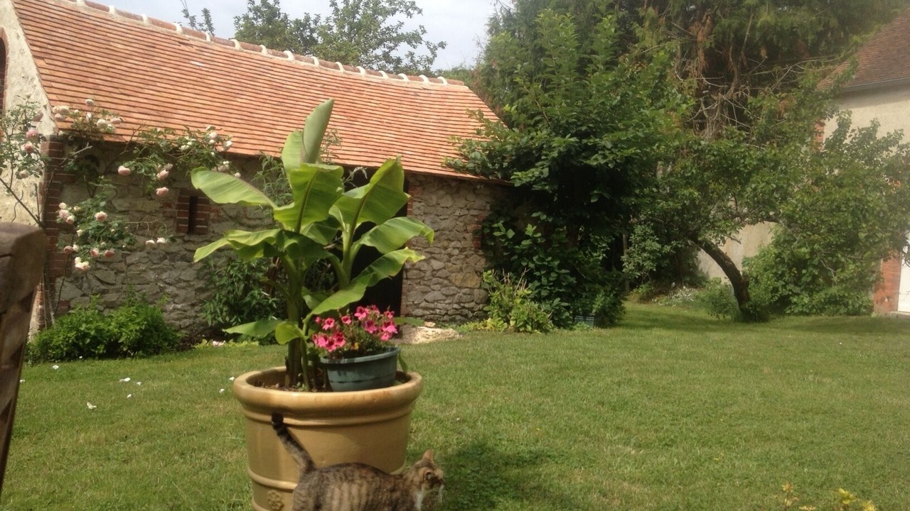 Photo of Outdoor in Chevillon-sur-Huillard
