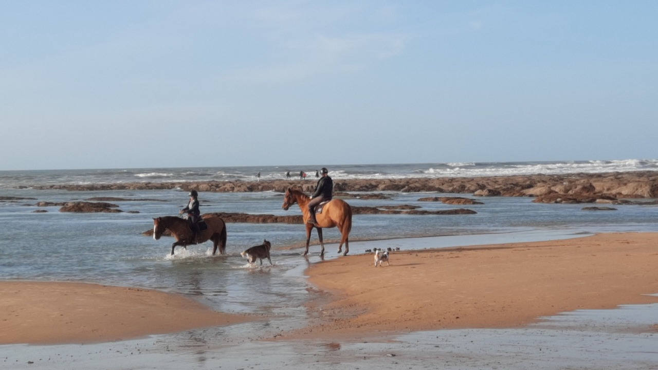 Photo of Others in Olonne-sur-Mer
