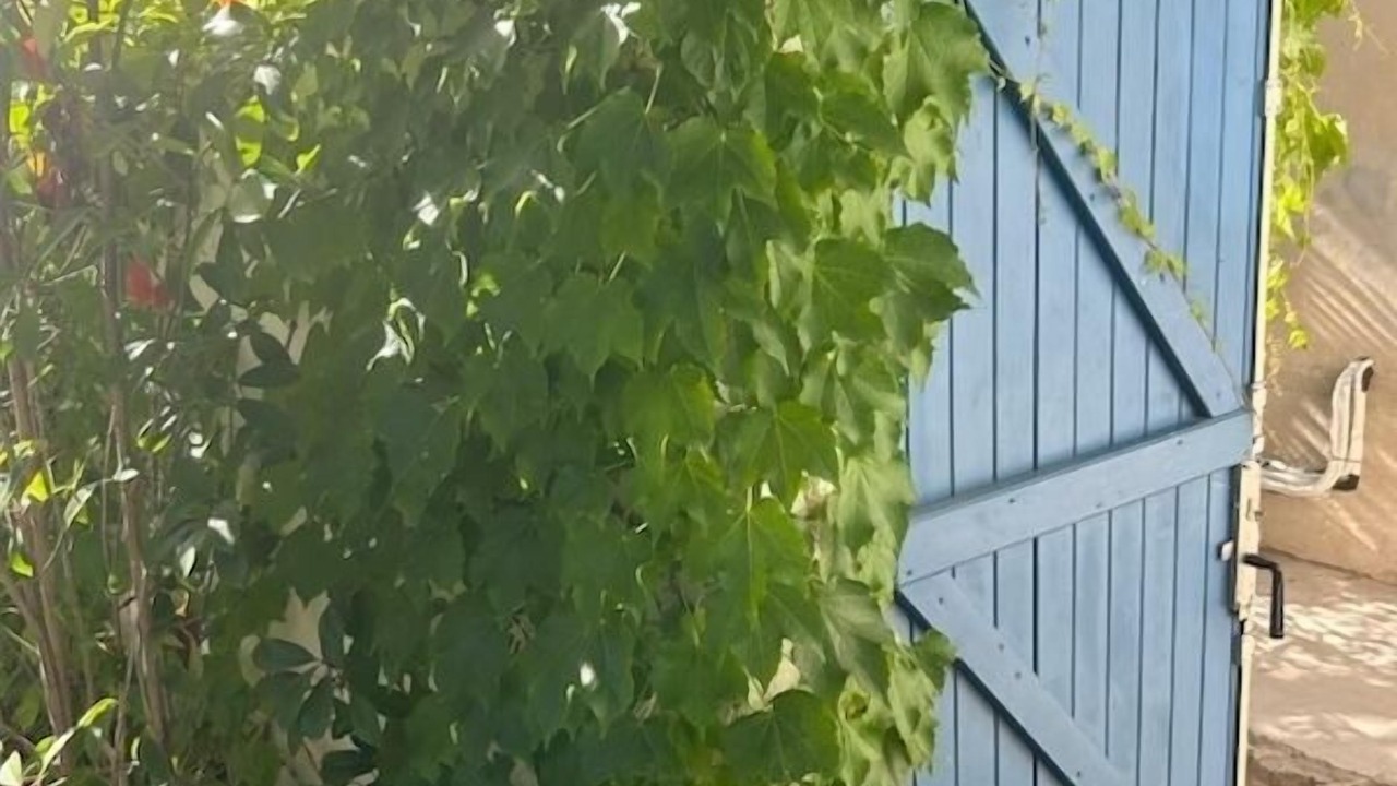 Photo of Outdoor in Bompard