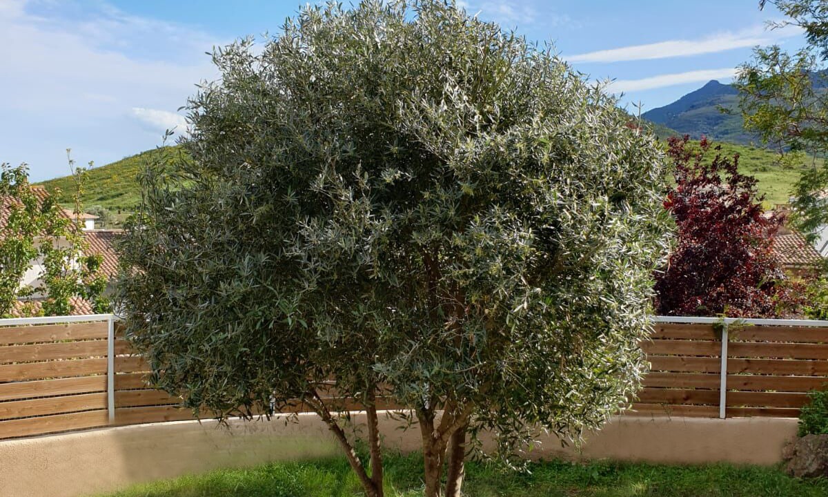 Photo of Outdoor in Biguglia