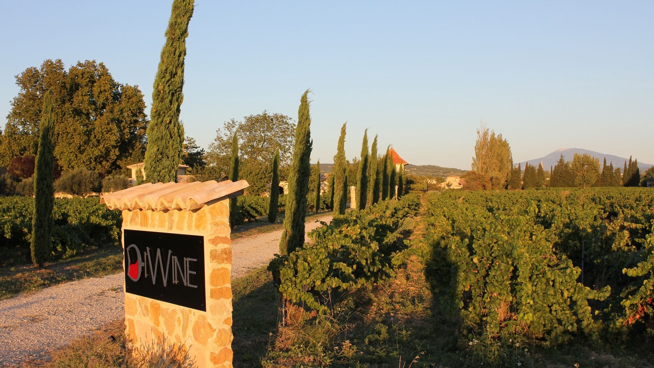 Photo of Others in Sainte-Cecile-les-Vignes