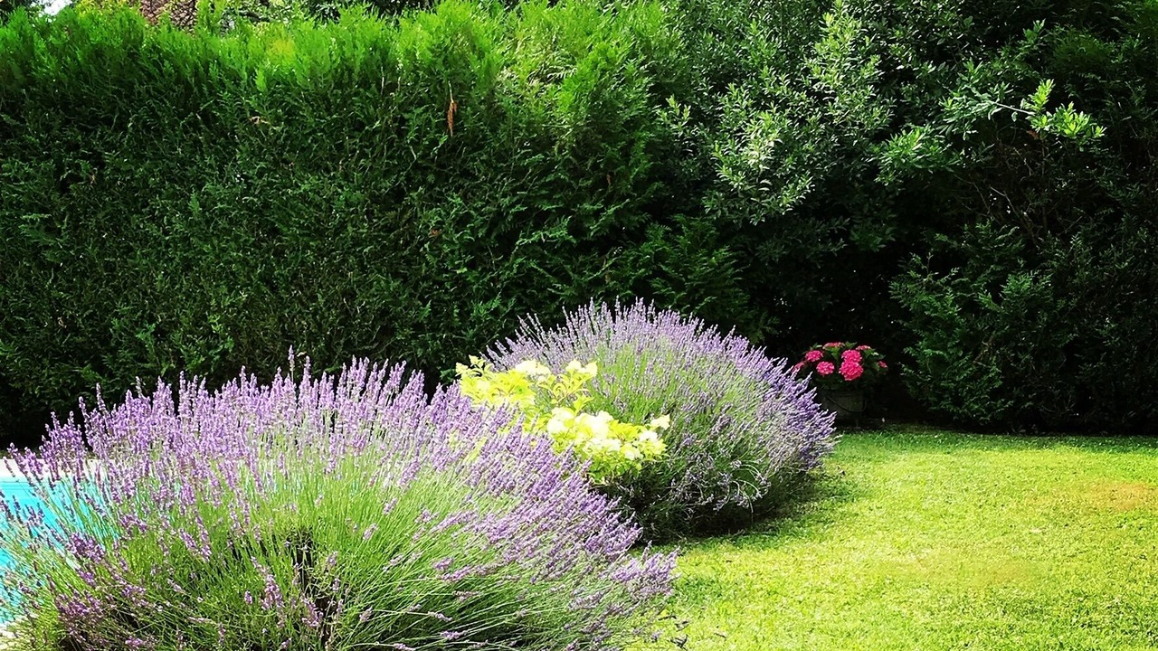 Photo of Outdoor in Saint-Severin