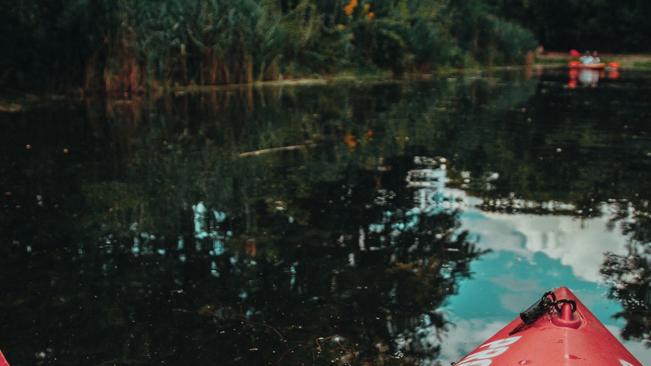 Photo of Outdoor in Barsac