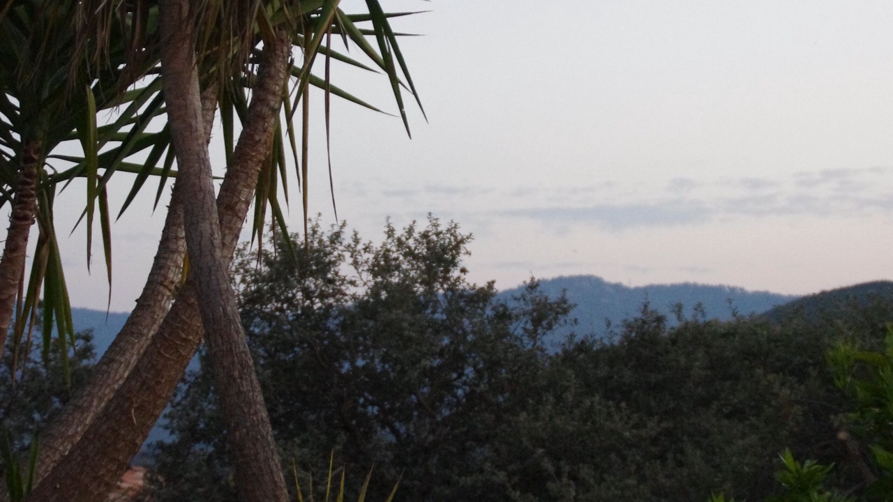 Photo of Outdoor in Plan-de-la-Tour