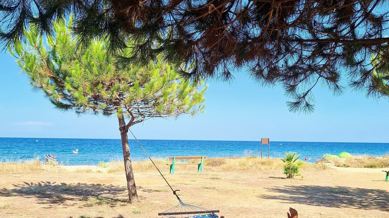 Photo of Others in Poggio-Mezzana