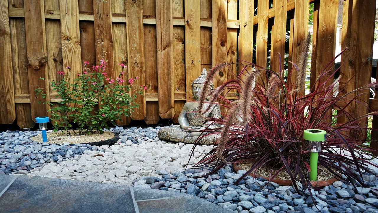 Photo of Outdoor in Saints