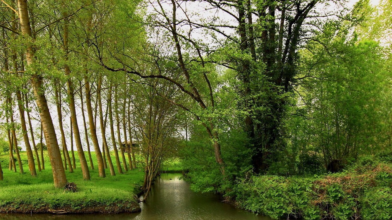 Photo of Outdoor in Le Mazeau