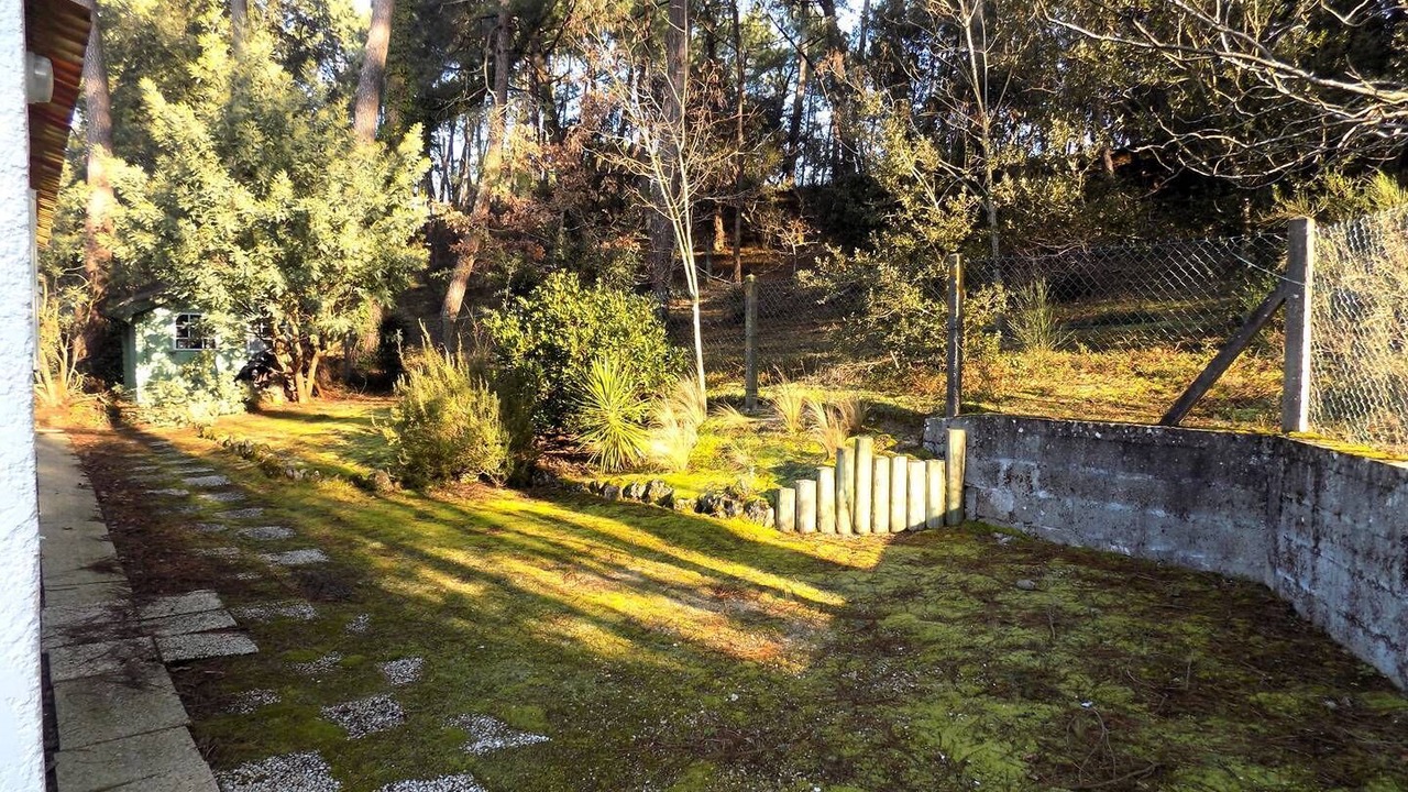 Photo of Outdoor in La Palmyre