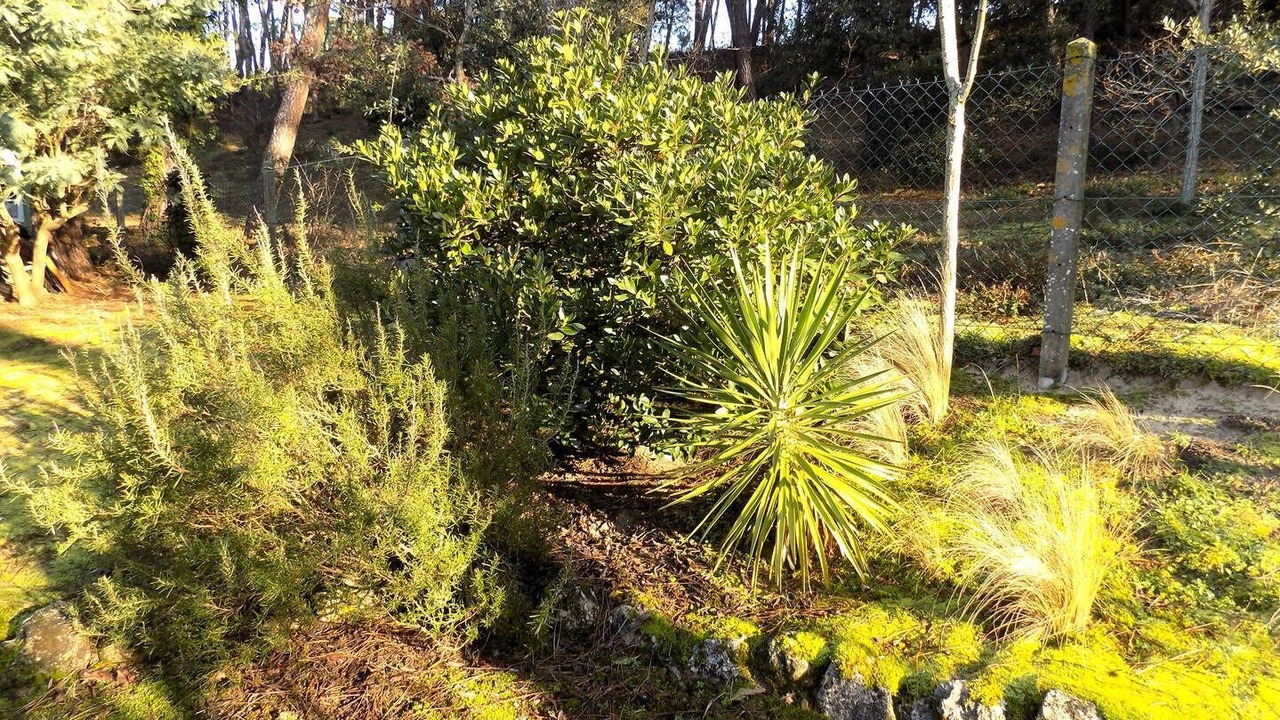 Photo of Outdoor in La Palmyre