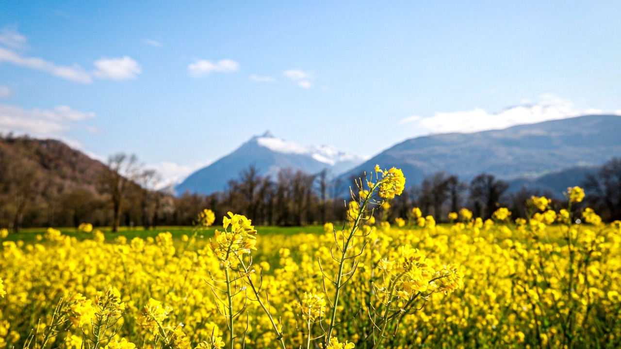 Photo of Outdoor in Ayzac-Ost