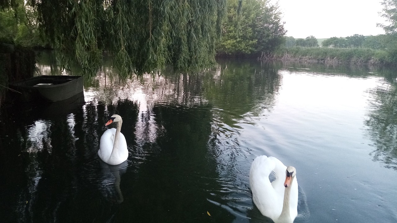 Photo of Outdoor in Neuilly