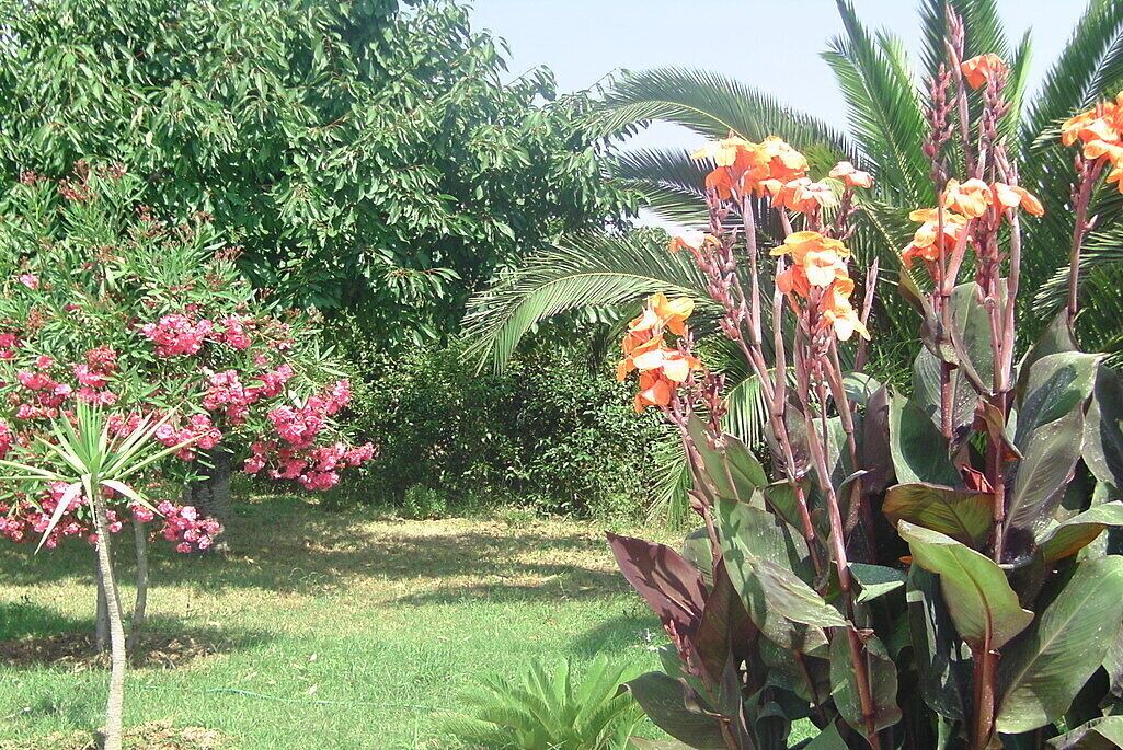Photo of Outdoor in La Crau