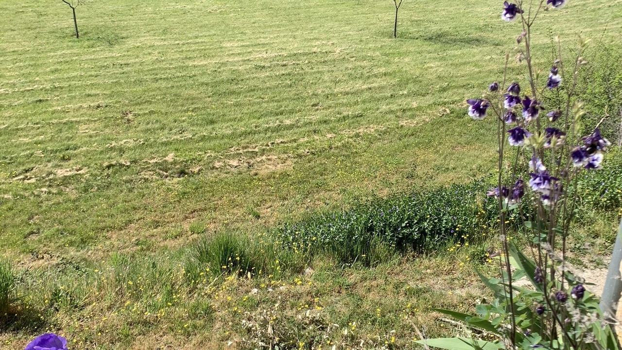 Photo of Outdoor in Daglan