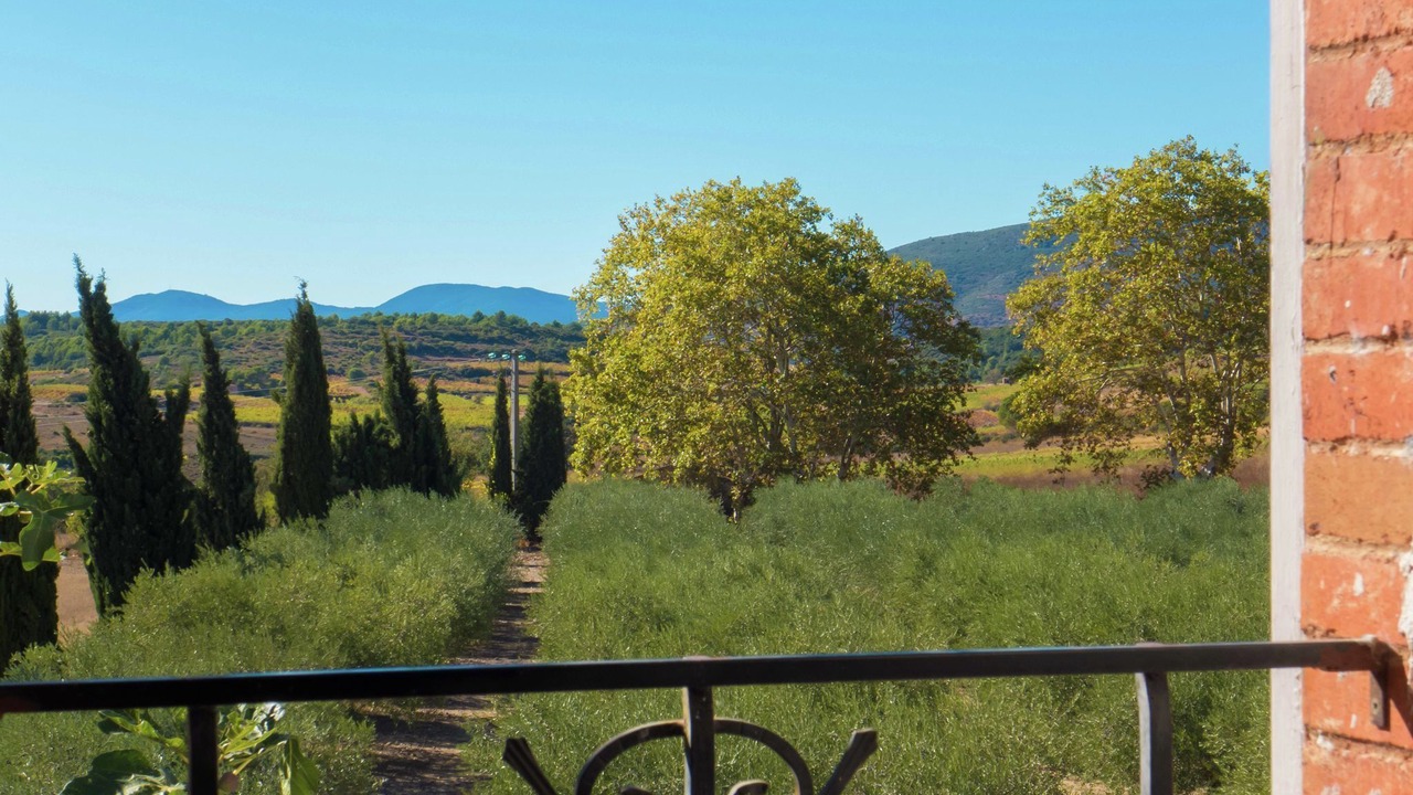Photo of Outdoor in Murviel-les-Beziers