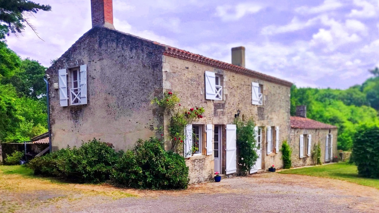 Photo of Outdoor in Saint-Georges-de-Pointindoux