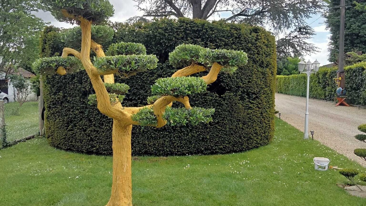 Photo of Outdoor in Saint-Medard-de-Guizieres