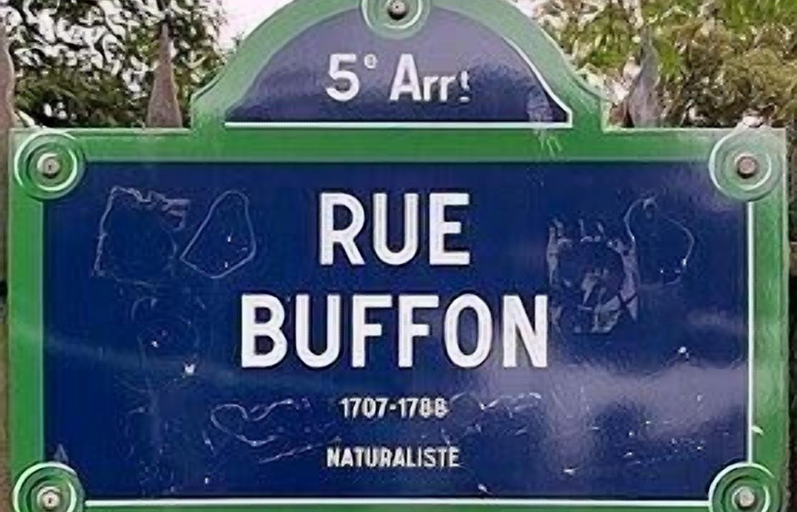 Photo of Outdoor in Jardin des plantes