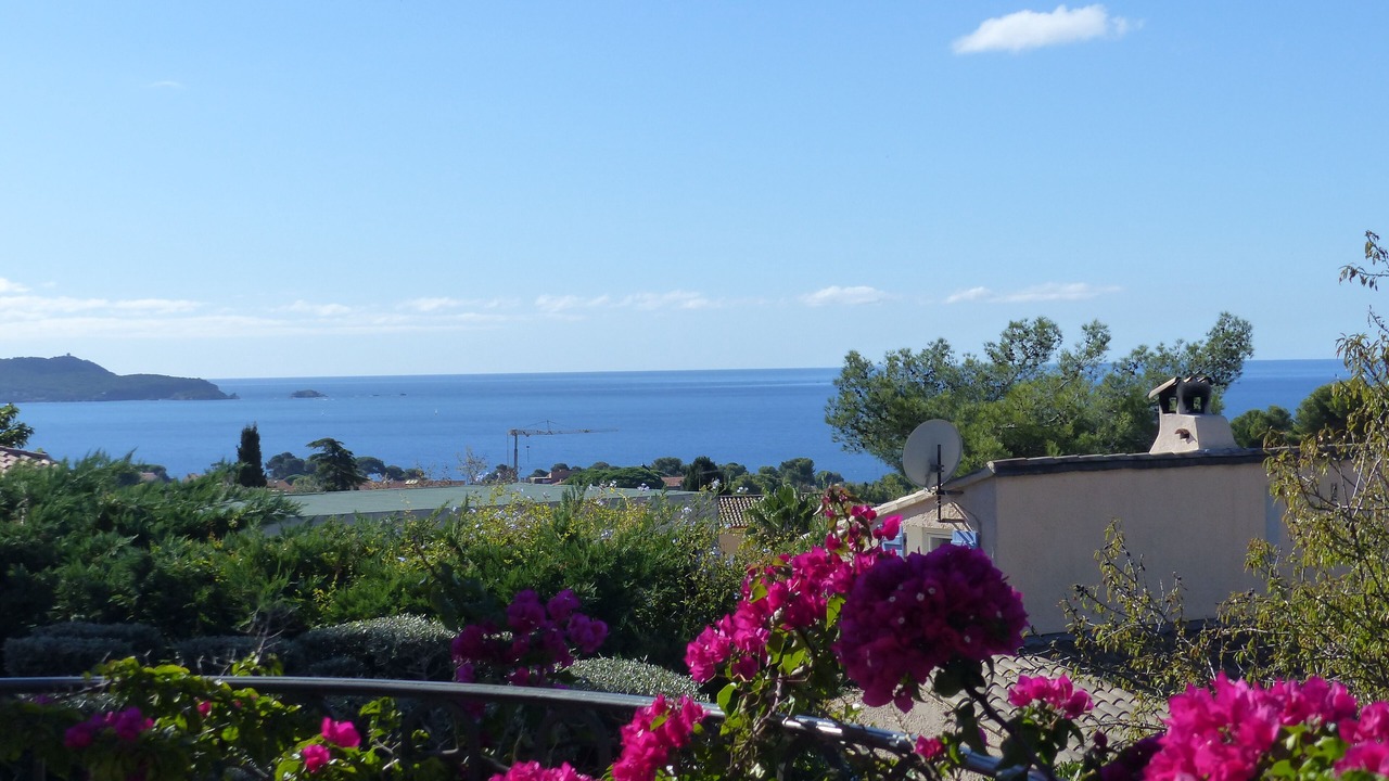 Photo of Others in Carqueiranne