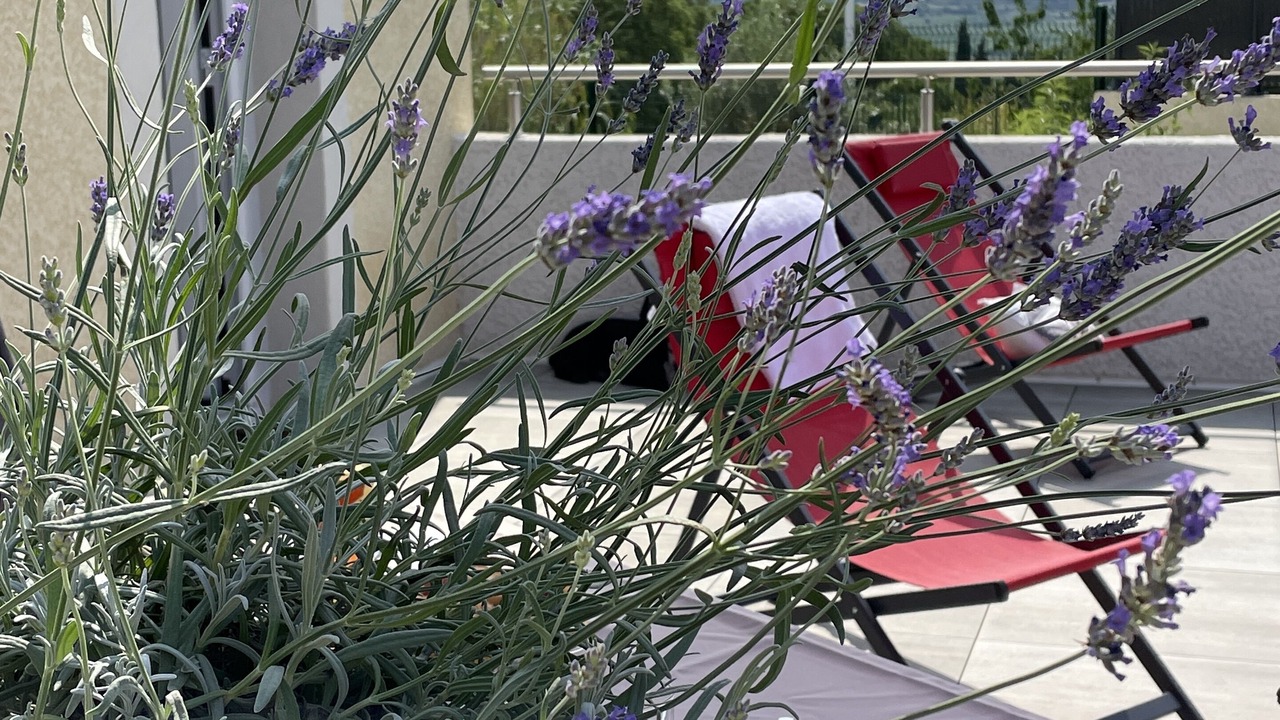 Photo of Patio Balcony in Neffies