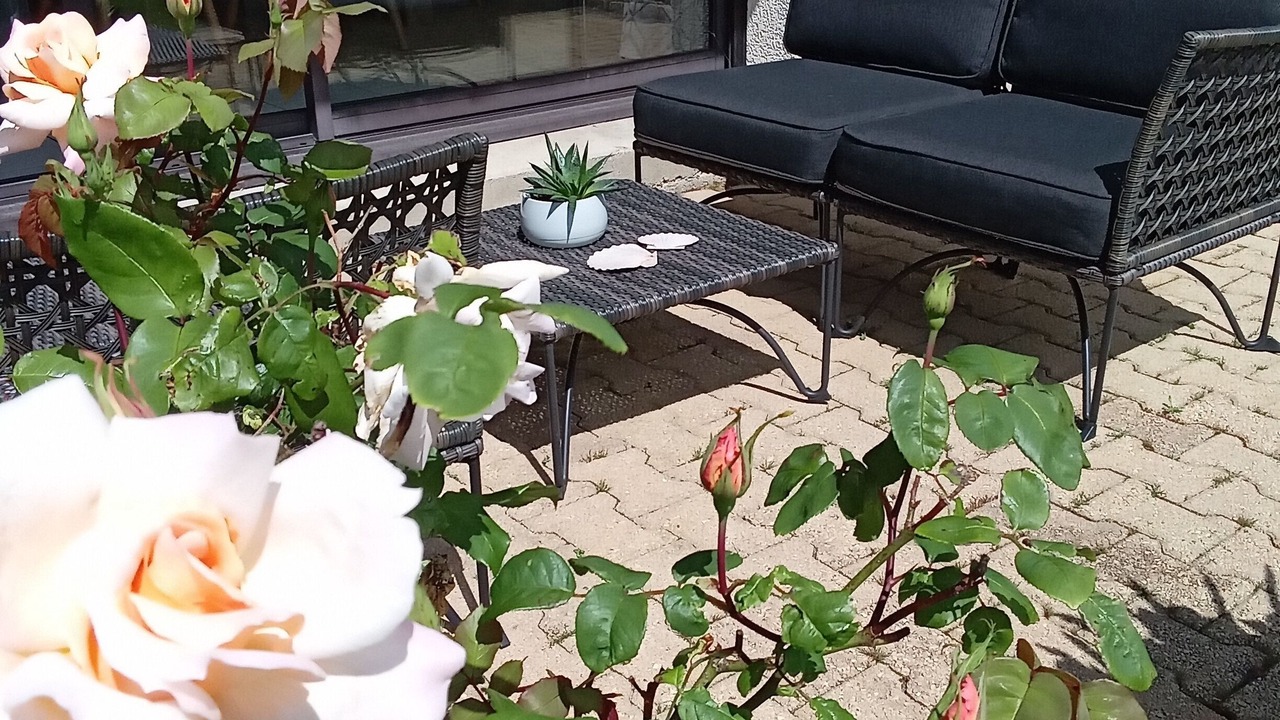 Photo of Outdoor in Santec