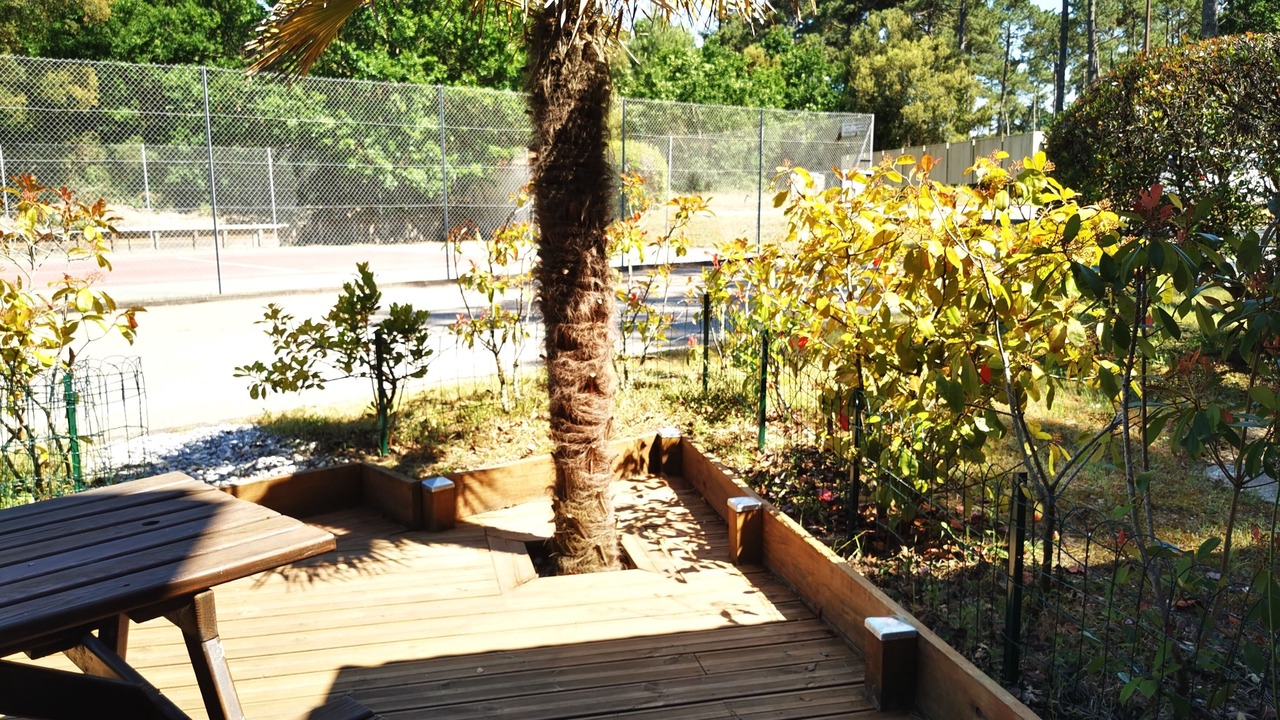 Photo of Outdoor in Saint-Julien-en-Born