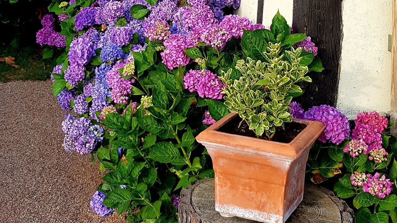 Photo of Outdoor in Bosroumois