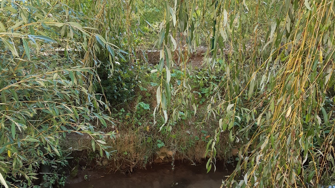 Photo of Outdoor in Lachapelle-aux-Pots