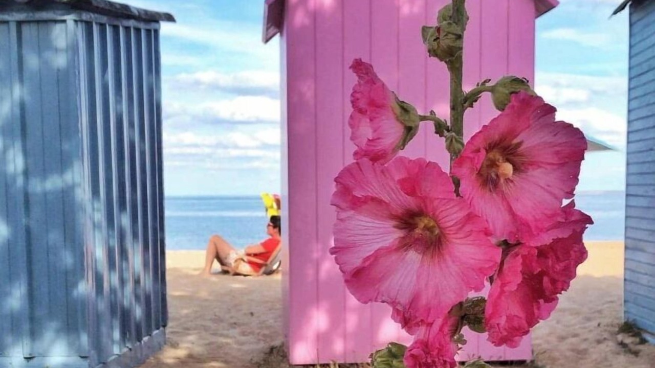 Photo of Others in Saint-Georges-d'Oleron