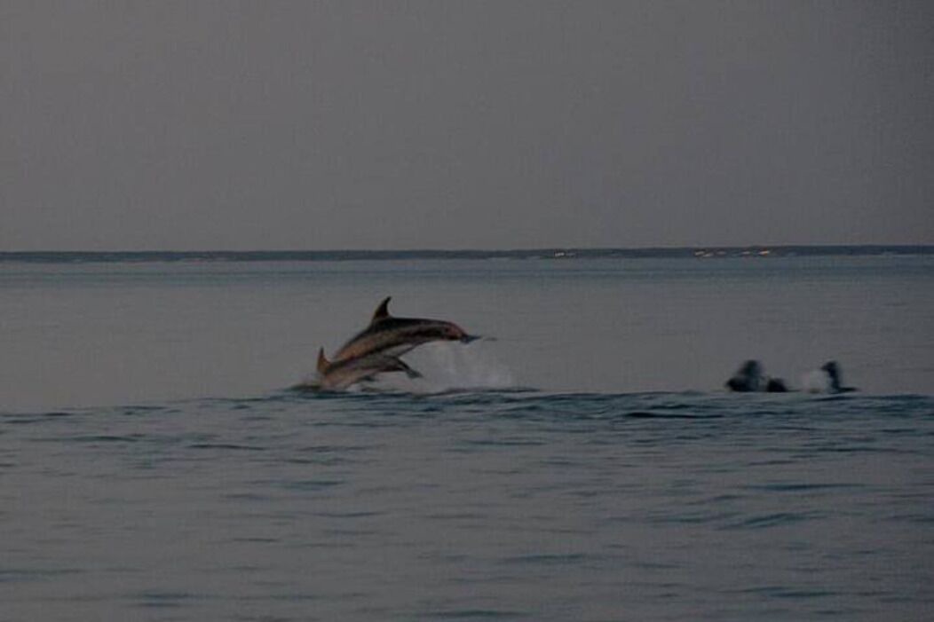 Photo of Others in Saint-Pierre-d'Oleron