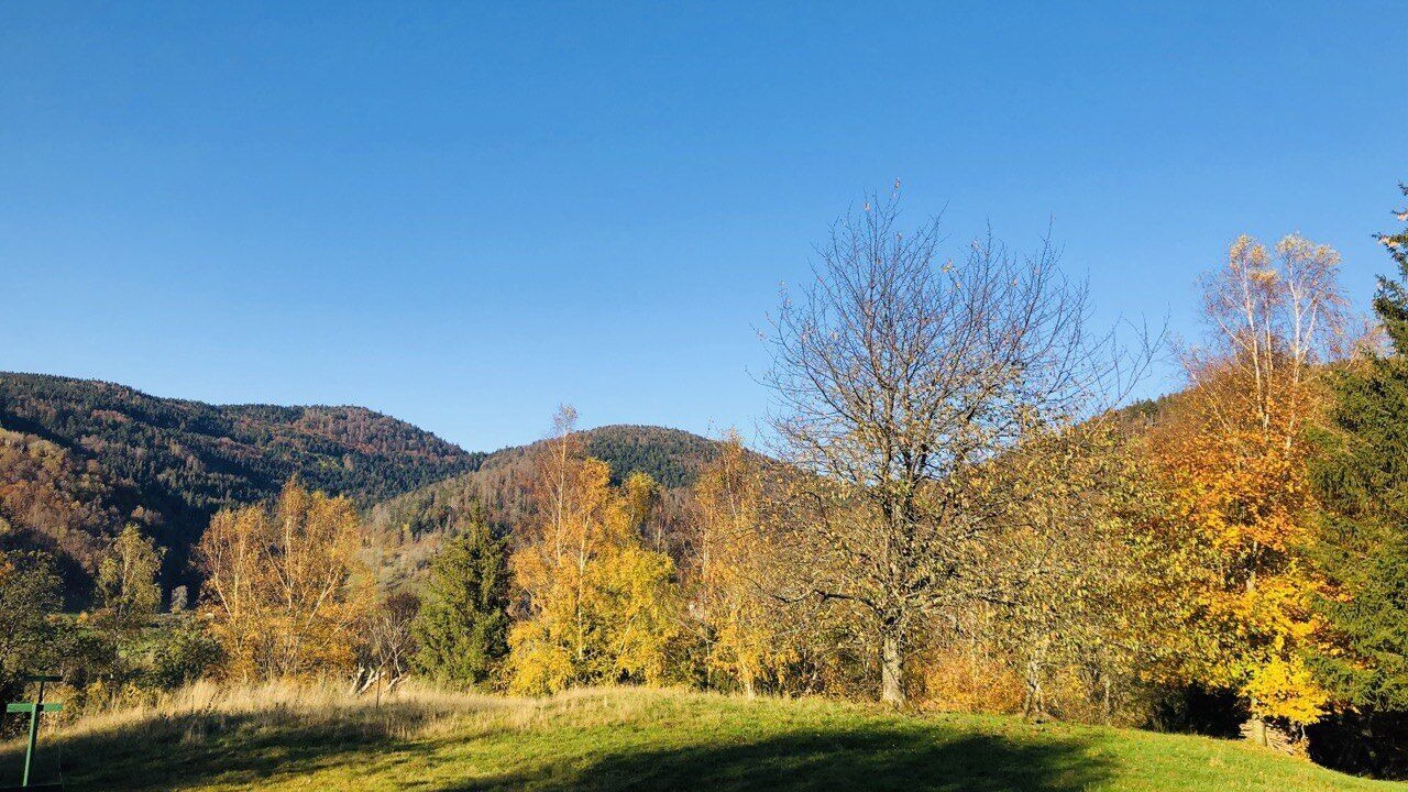 Photo of Outdoor in Bussang