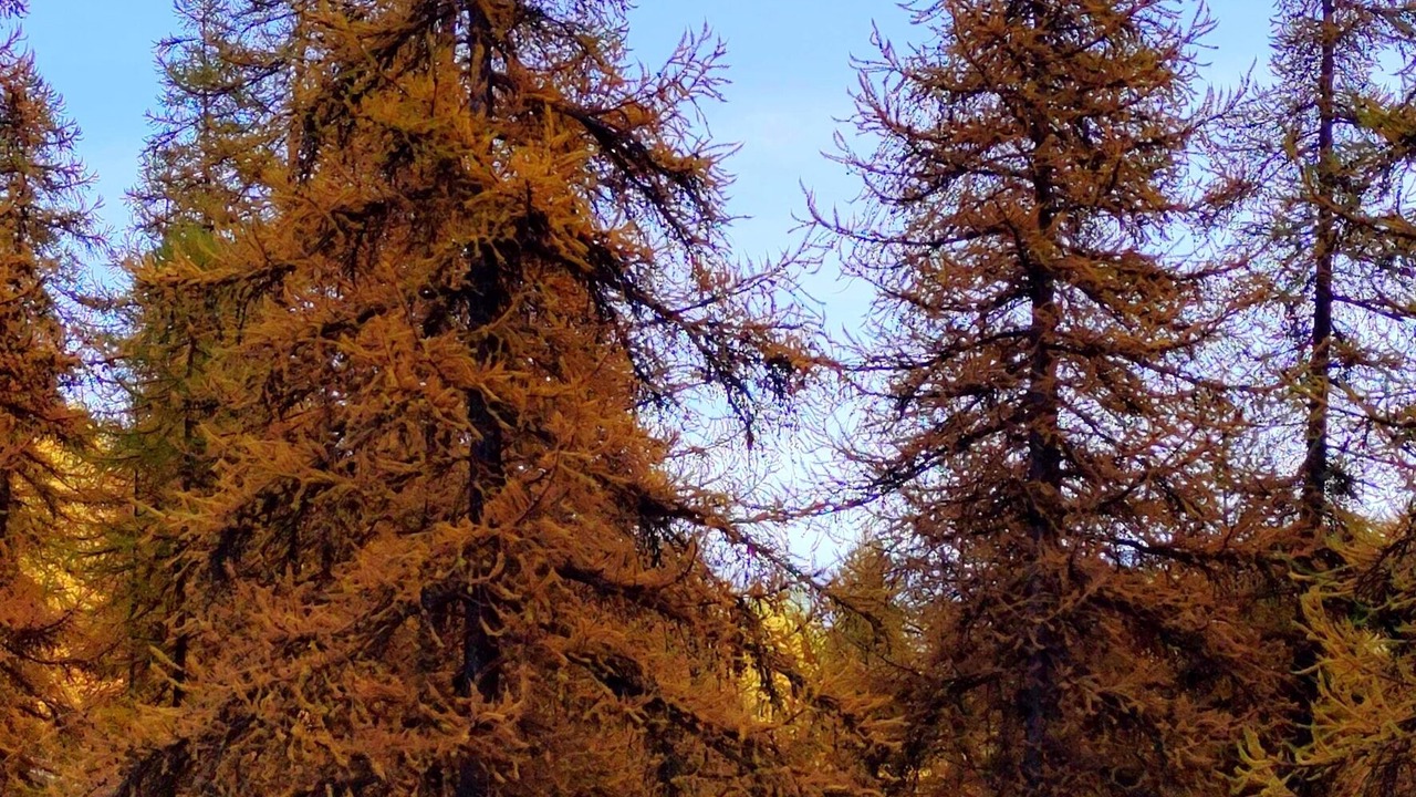 Photo of Outdoor in Puy-Saint-Vincent