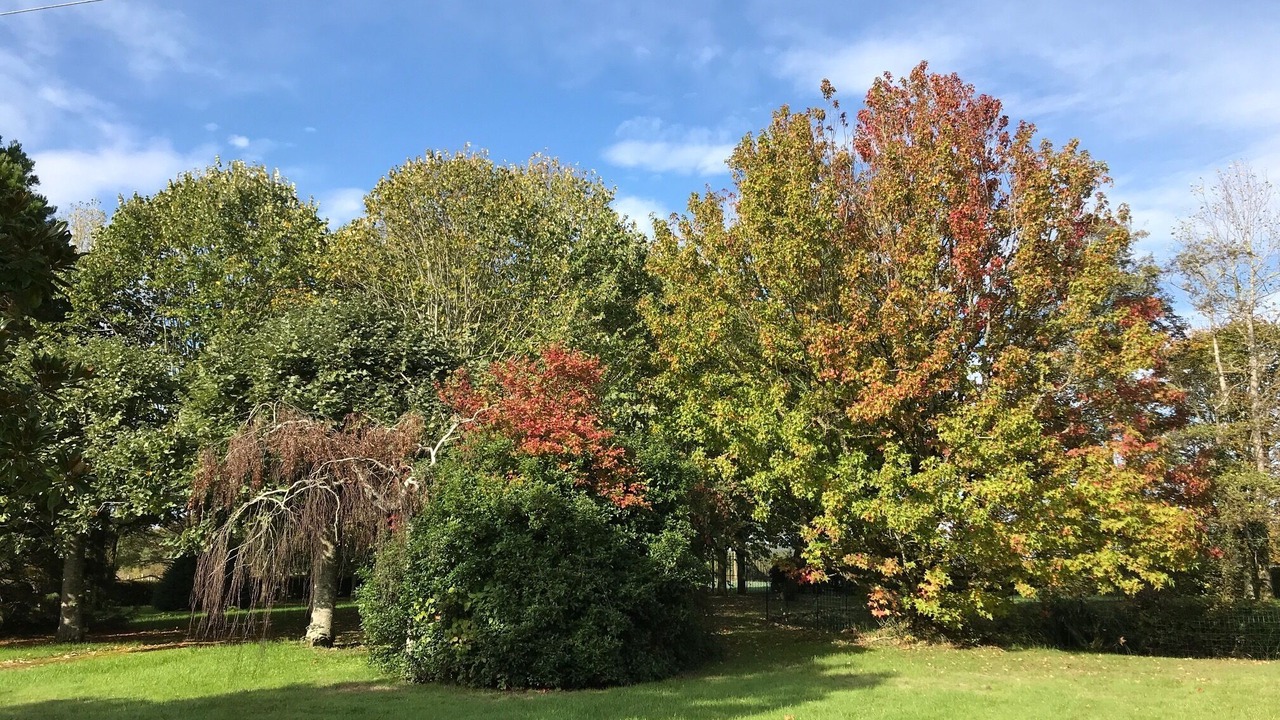 Photo of Outdoor in Prunay-Cassereau