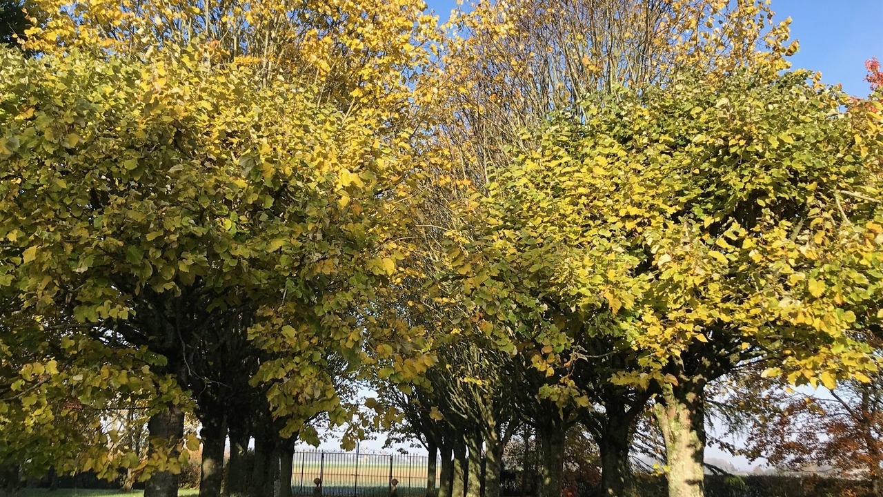 Photo of Outdoor in Prunay-Cassereau